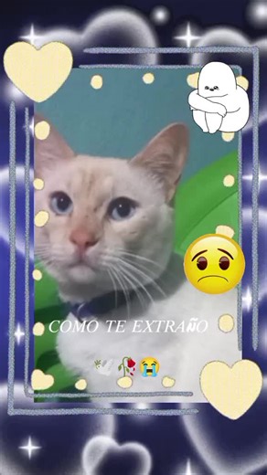 Videos de David Asael Benitez (@david.asael.benit) con “original sound - neisen_mx_official”