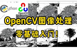 【基础原理+项目实战】基于Python+OpenCV的图像处理实战，3小时带你从零入手！
