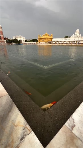 ✨ Golden Temple Amritsar |Most Beautiful Place India#GoldenTemple #Amritsar #India #Travel #Peaceful