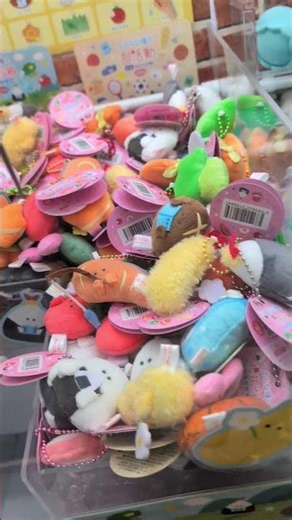 ⭕️まとめ取り⭕️ つぶらな瞳のシリーズ 回遊館岐阜店