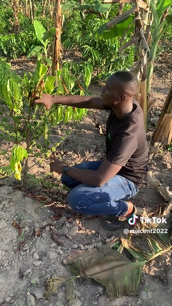 Expert Coffee Making Tips and Tools for Enthusiasts