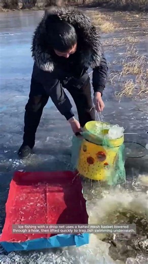 Ice Fishing with a Drop Net