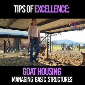 7.2K views · 142 reactions | 1.5 Housing for Goats - managing a basic...