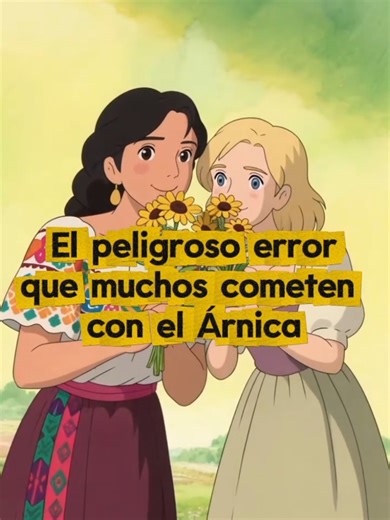 #herbolaria #arnicamontana #arnica #remediosnaturales #dolormuscular | Arnica