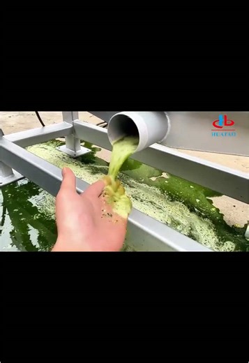 #press #vegetables Do your food need to dehydrate? Do you know which machine can dehydrate vegetables efficiently? Huatao screw press crushes the vegetables by physical squeezing or high-speed rotation. #screwpress #environmental #machinery #food #sugar
