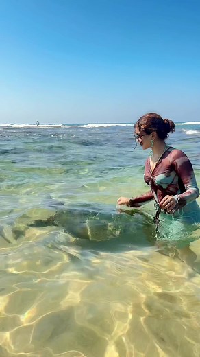 Discover the Beauty of Sri Lanka: A Travel Guide