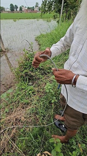 Professional Lineman Technique for Cutting ACSR Wire