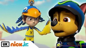 398K views · 4.2K reactions | PAW PATROL Full Episodes ✭ CHASE & SKYE Do not pluck flowers in public✭ Pups Save Cartoons For Kids | Funny Kids | Facebook