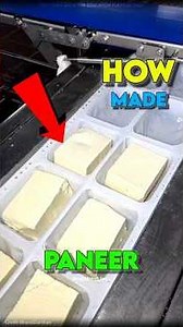 How Pure Paneer Is Made in Factories!🤔