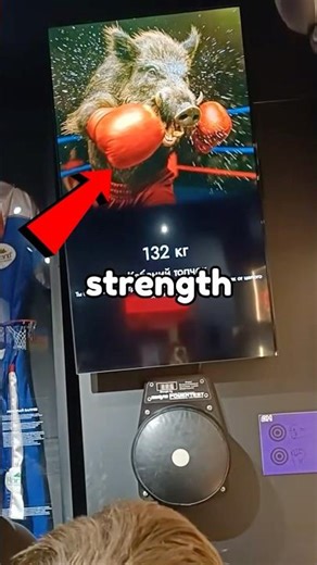 The Animal Punching Machine 🥊