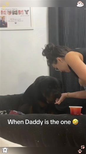 It’s just afraid of their dad!😂 #dog #dogsoftiktok #fyp #foryou #funnydog #funnyanimals #funnyvideos #pet