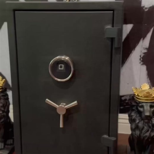 Fire Resistant | High Capacity | Biometric Buy Online or In Stores! https://rpnbsafe.us/products/fs66 | RPNB SAFE | Facebook