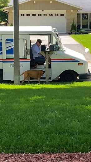 Funny Encounters: Dogs vs. Mailman