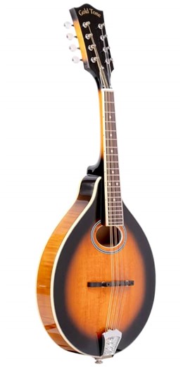Gold Tone GM-50+ A-Style Mandolin with Pickup and Bag | Reverb