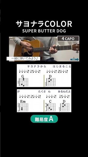 【コード譜】サヨナラCOLOR / SUPER BUTTER DOG