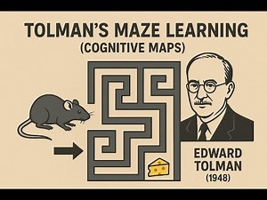 Tolman’s Maze Learning (Cognitive Maps) – Edward Tolman (1948) || मन का खाका