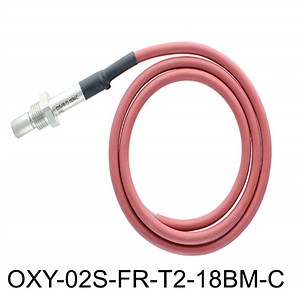 Zirconia Oxygen Sensor System