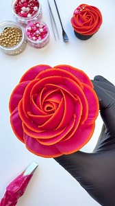 A two-toned buttercream rose 💕🧡 #cupcakes #cupcakedecorating #rosecupcake #buttercreamroses #rosecake #cupcakeart #CupcakeInspo #cupcakeideas #pinkcupcakes | Cakestone