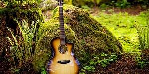 Breedlove Launches Artista Pro Series