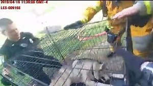 34K views · 241 reactions | ❤ Cops ‍♂️ & Firefighters ‍ Heroes Save Dogs  from House Fire  How much love ❤ can we give to these First Responders? | Thin Blue Line TV | Facebook