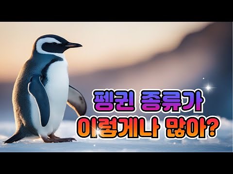 펭귄 종류가 이렇게 많았나요? 펭귄 종류 및 특징 알아보기.
