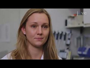 TurboID-Based Proximity Labeling to identify Protein Interactions