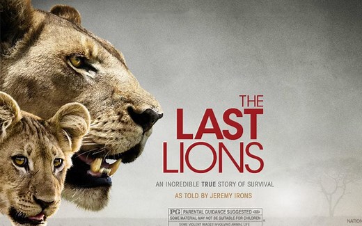 【国家地理】最后的狮子.1080P高码率.中英双语字幕（2011）The Last Lions