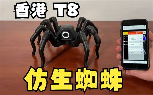T8x机器蜘蛛和小猫互动，Spider robot and Kittens，香港Robugtix-T8仿生蜘蛛，T8X蜘蛛机器人