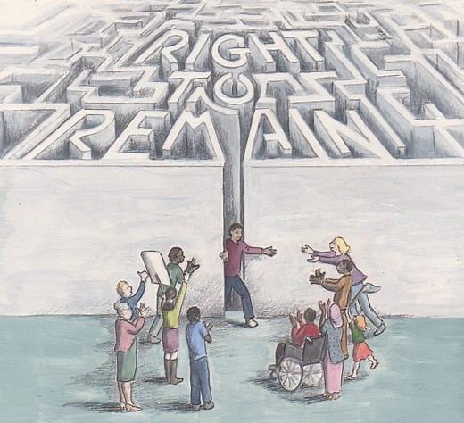 Evidence for asylum, immigration and human rights cases