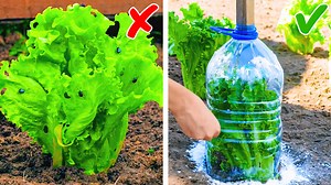 14M views · 855 reactions | Simple tips for growing plants and vegetables || useful gardening hacks: | FoodGasmic | Facebook