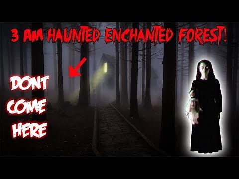 3 AM CHALLENGE IN THE HAUNTED ENCHANTED FOREST | MOE SARGI