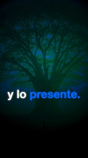 Hablamos sobre el iroko, un árbol sagrado con profundo significado espiritual en Nigeria y entre los seguidores de los Órisa en México. Exploramos su importancia como puente entre lo ancestral y lo presente, y su conexión con el nacimiento y el tiempo. | Ohun Àbáláyé Atijọ
