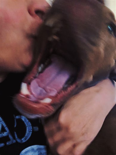 Stephanie (@sbaker2021)’s videos with original sound - Haarhoff