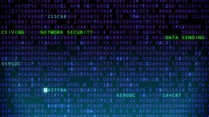 Internet security screen loop