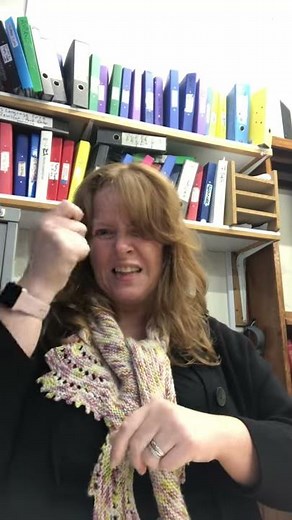 BSL story Level 1 #1