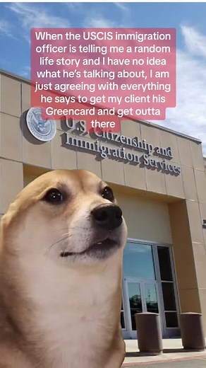 Understanding Green Card Processes with Immigration Attorneys