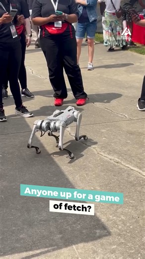 This robo-pup's stealing the show! #Motorsports #Robot #Dog #Play #Tech | People Are Awesome