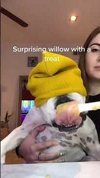 Woman surprises Bulldog with a peanut butter treat!