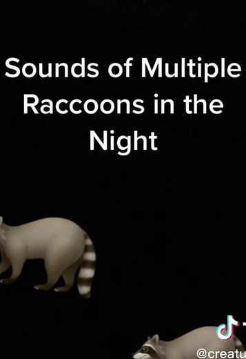 Creature Wonder on TikTok