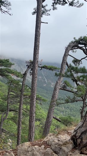 Exploring the Beauty of Crimea: A Travel Vlog