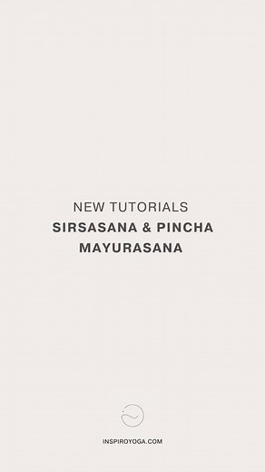 32 reactions | Elevate your Practice  Looking at taking your...