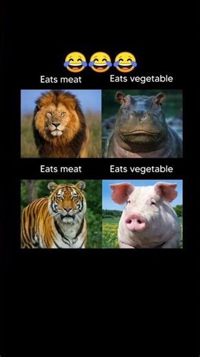 Meme for non vegetarians😆😁 | What do you eat? | Meat or Vegetables🤣