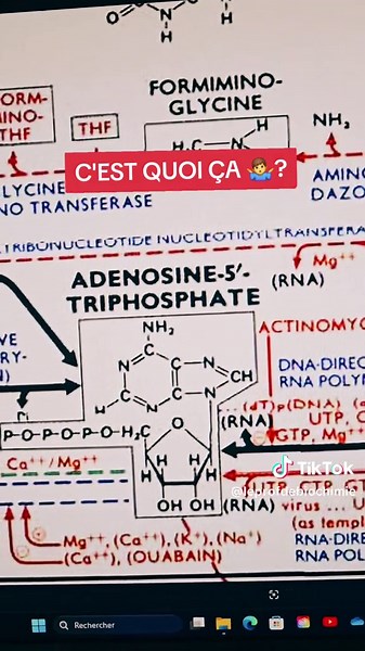 #biochimie #lavie #atp #muscu