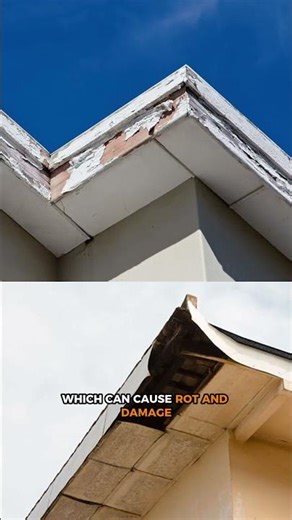 How Do Rain Gutters Protect Your Roof and Fascia?