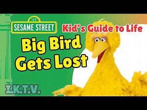 Sesame Street Kids' Guide to Life VHS Full Episode 3 "Big Bird Gets Lost" 1998