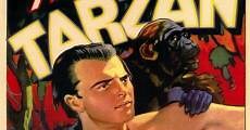 Las nuevas aventuras de Tarzán (1935)  - Ver Película Completa en Español - FULLTV