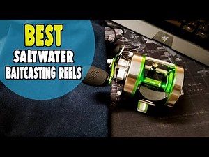 Best Saltwater Baitcasting Reels in 2021 – 10 Budget-Friendly Options!
