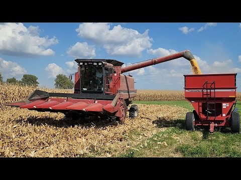First Week of Corn Harvest 2025 & A New Wagon