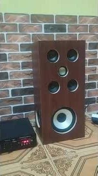 Custom Speaker Swara Jagat