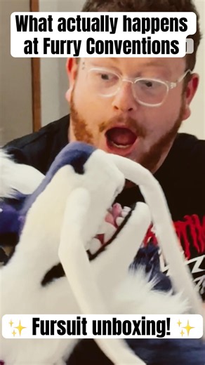 My experience at a furry convention #furry #fursuit #furries
